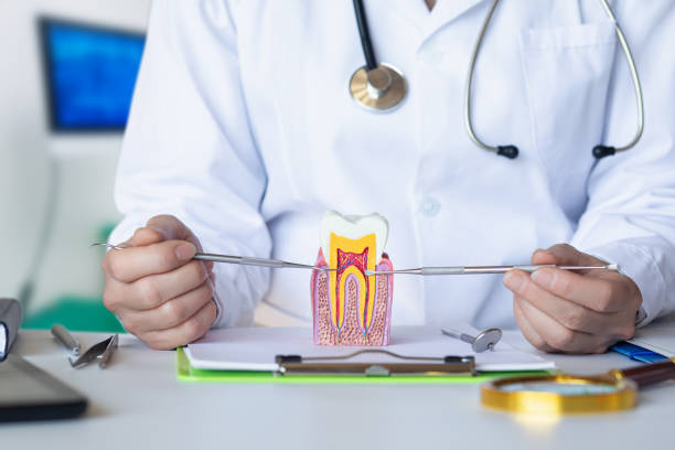 Best Broken or Chipped Tooth Repair in Mojave, CA
